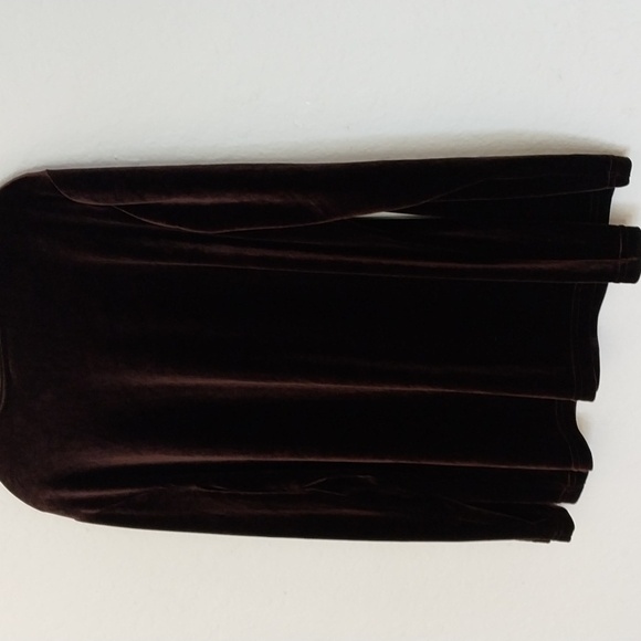 COLDWATER CREEK Brown Velvet Tunic Crew Neck Long Sleeve Top Size Large - Picture 12 of 16